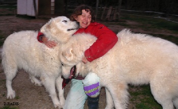Pantin chien patou doudou et compagnie 