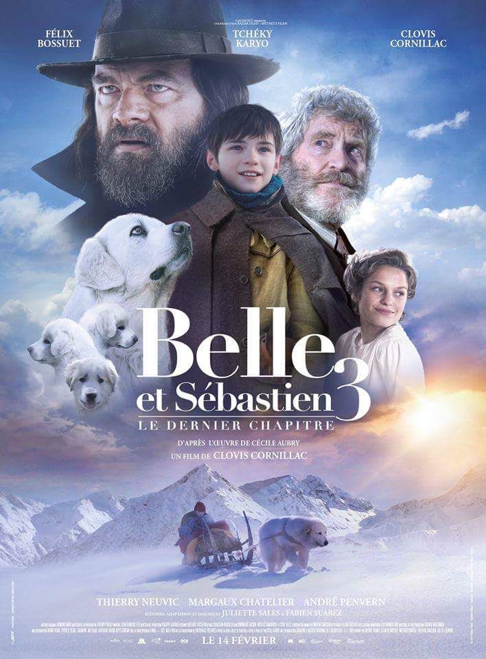 du Haras de Chante-Neige - BELLE ET SEBASTIEN 3