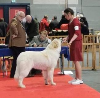 du Haras de Chante-Neige - Tendresse gagne à Amiens
